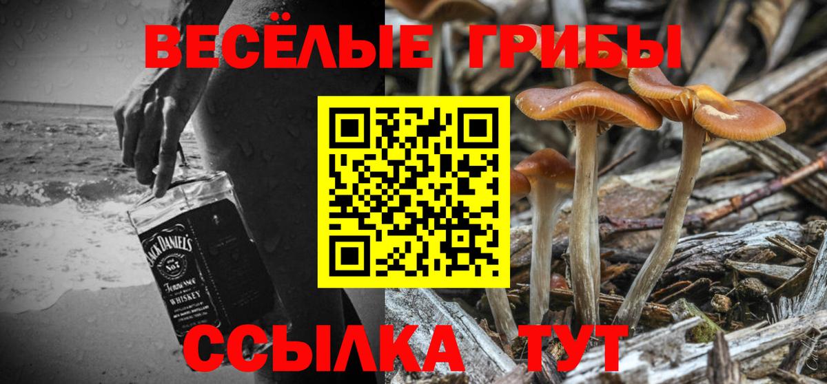 Псилоцибиновые грибы ЛСД Королёв