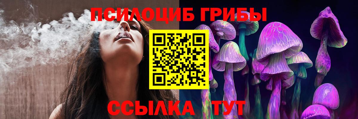 Королёв  Галлюциногенные грибы прущие грибы  Вход с VPN  Псилоцибиновые грибы Cubensis 